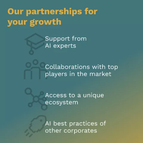 Graphic with a list of the services that appliedAI partners receive.