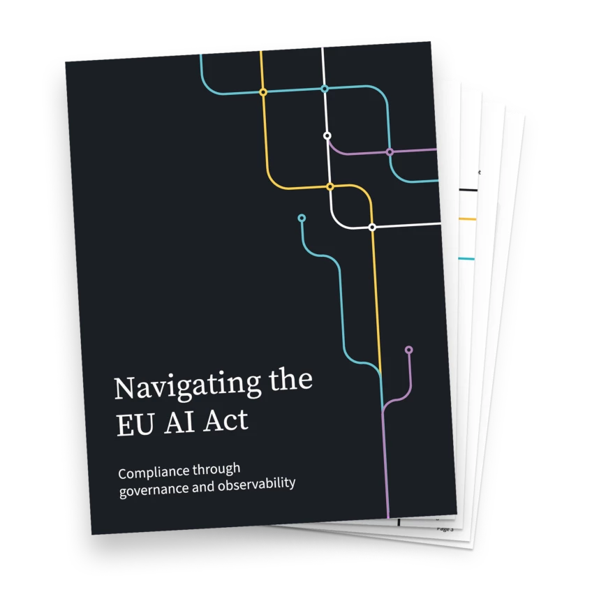 Whitepaper Navigating the EU AI Act Portrait